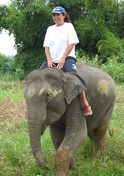 Julie Barnett rides Pang Lom, a 4-year-old elephant who was malnourished and frightened before being rescued from the streets and moved to an elephant sanctuary.