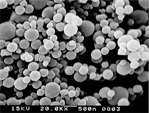 Microgel beads under electron microscope