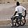 In Cuba, Disabled