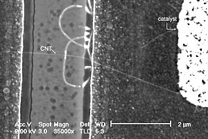 Magnified view of carbon nanotube grown on silicon MOS circuitry