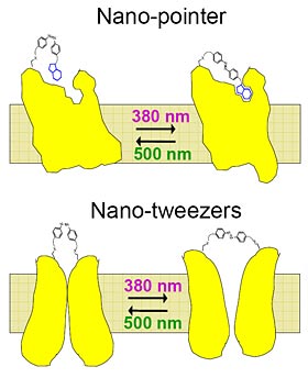 light-activated nanotweezer diagram
