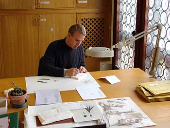 Matteo Garbelotto working on fungi specimens
