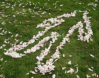 Outline in petals on the grass