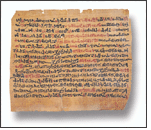 Berkeley's collection of Egyptian papyrus