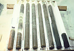 Sections of Greenland ice core