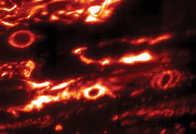  Jupiter's red ovals