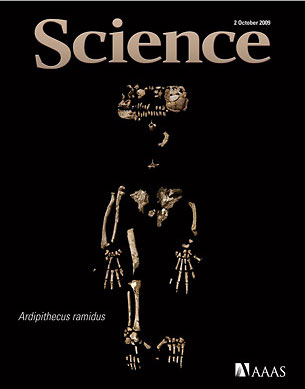 Science magazine cover of Ardipithecus ramidus