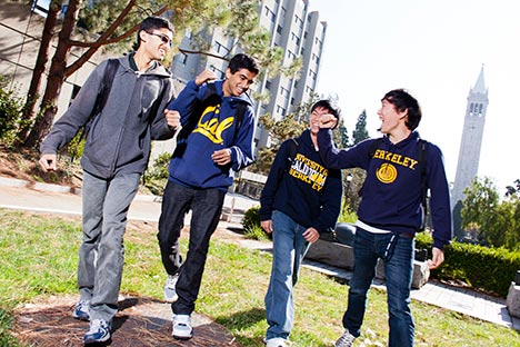 university of california berkeley essays