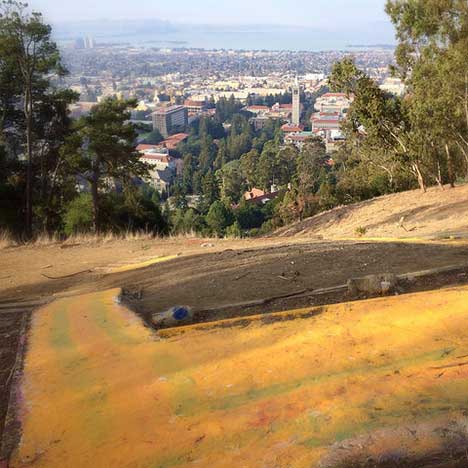 Gold colored hillside looking down onto the campus