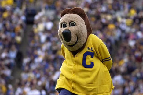 Bear mascot wearing gold sweater with a big C