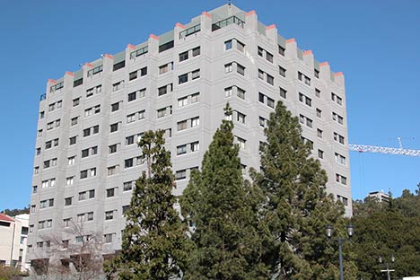 Large multi-story building with trees in front and blue sky
