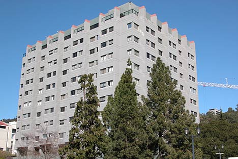Large multi-story building with trees in front and blue sky