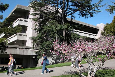 Cement building with terraces. Walkway with students and trees on either side.