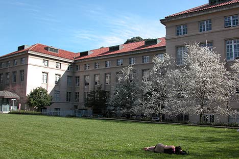 Red tiled building with lawn and blossoming trees in front.