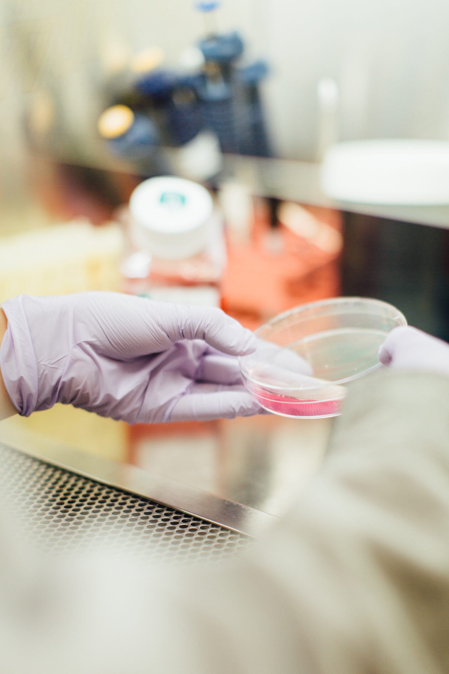 close up of hands in gloves holding a petri dish