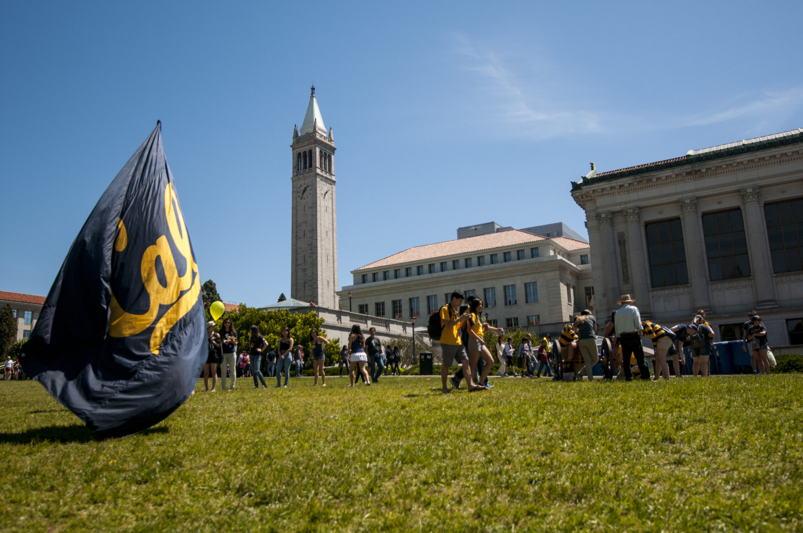 students congregate on a lawn in groups and one holds a large flag that says Cal. The Campanile is in the background, along with other campus buildings